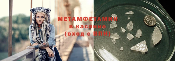 шишки Заволжье