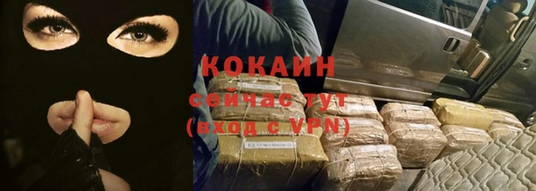 шишки Заволжье
