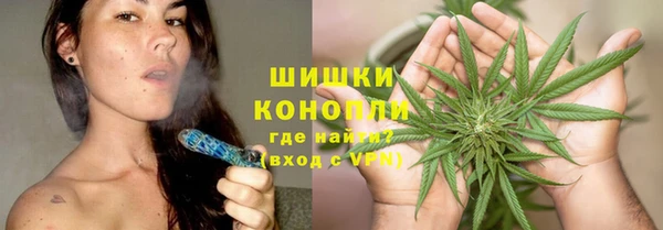 шишки Заволжье