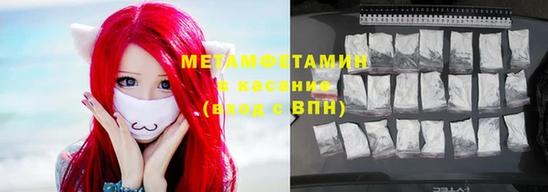 шишки Заволжье