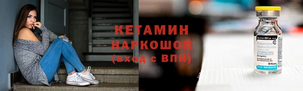 шишки Заволжье