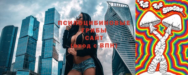 шишки Заволжье