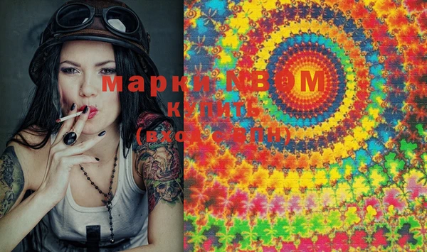 шишки Заволжье