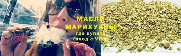 шишки Заволжье