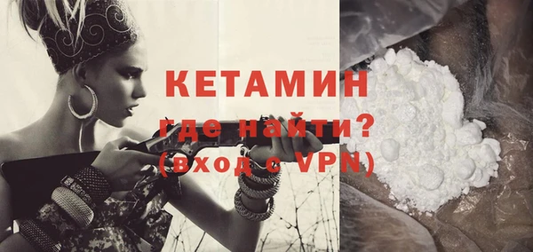 шишки Заволжье