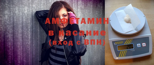 шишки Заволжье