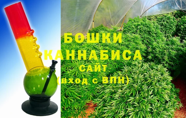 шишки Заволжье