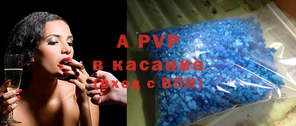 шишки Заволжье