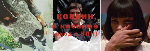шишки Заволжье