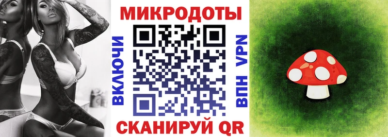 Галлюциногенные грибы мухоморы  Купить закладки  Волосово 